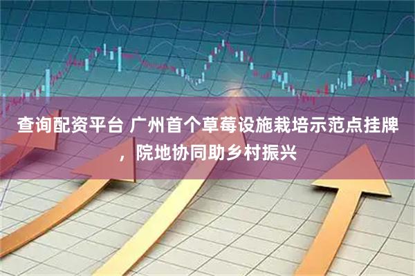 查询配资平台 广州首个草莓设施栽培示范点挂牌，院地协同助乡村振兴